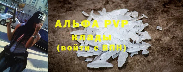 ГАЛЛЮЦИНОГЕННЫЕ ГРИБЫ Покачи
